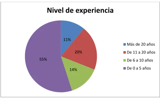 Ilustración 4. Nivel de experiencia 