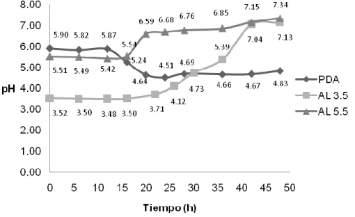 Fig. 7. Cinética de variación de pH en 48 h de fermentación con R. oligosporus. 
