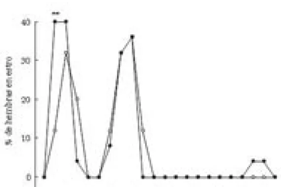 Figura  2.  Porcentaje  de  hembras  que  presentaron  una  actividad  estral  después  de  la  introducción  de  machos  del  grupo  testigo  (círculos  abiertos)  y  del  grupo  tratado  (círculos  negros)