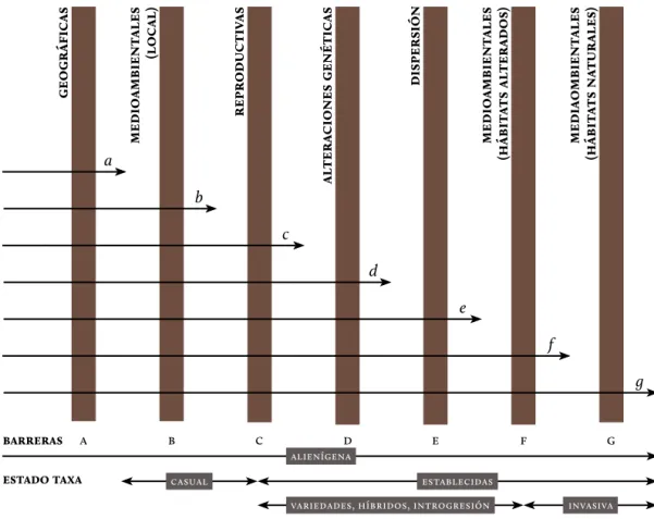 figura 1. Proceso de  las invasiones biológicas  (tomado de Gutiérrez  2006).