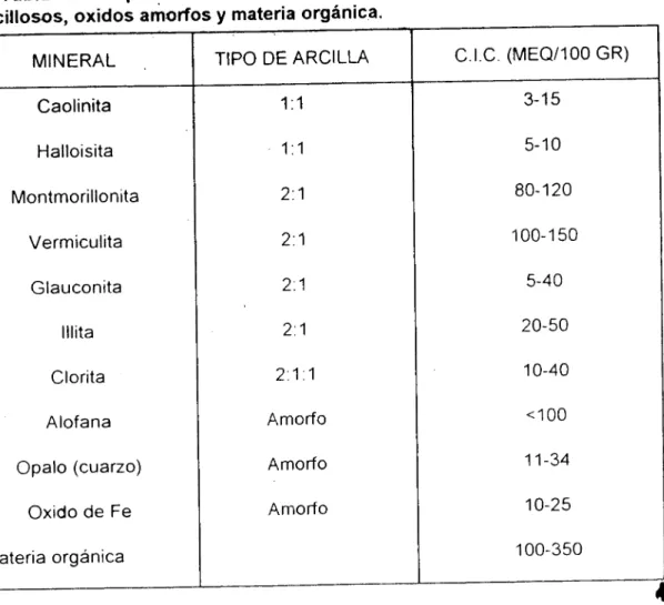 Tabla  1.  Capacidad de Intercambio Catiónico de algunos minerales arcillosos. oxidos amorfos y materia orgánica.