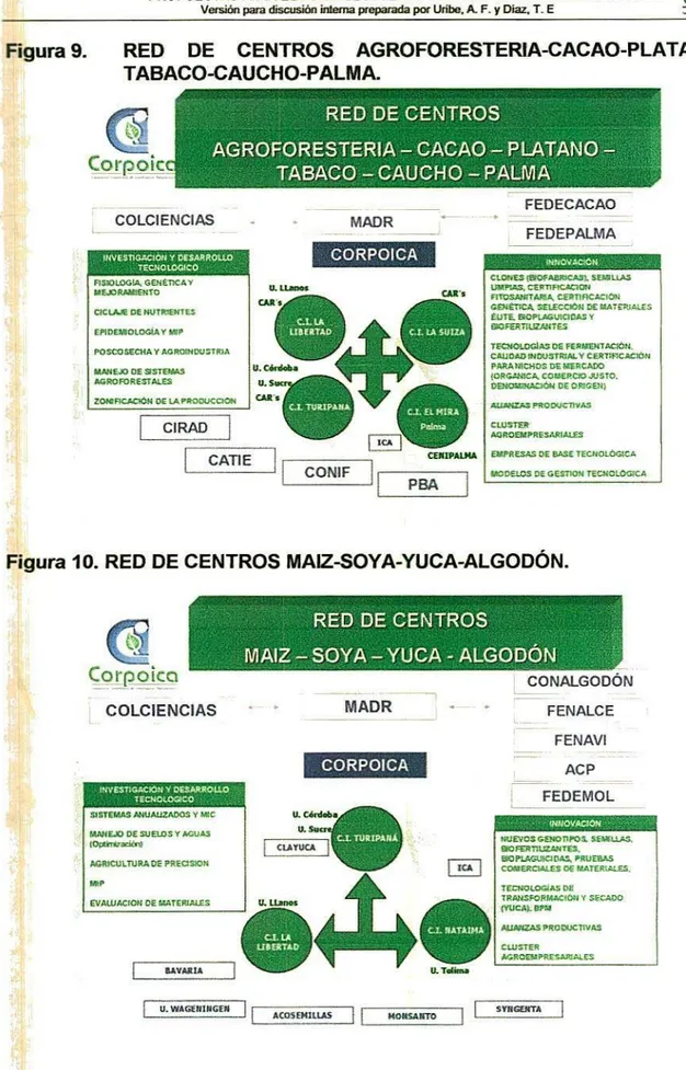Figura 9. RED DE CENTROS AGROFORESTERIA-CACAO-PLATANO- AGROFORESTERIA-CACAO-PLATANO-TABACO-CAUCHO-PALMA.