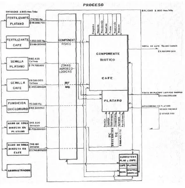 Figura 4. Diagr¡mo de un sistemr de producción  c¡fé-plát¡no en b¡rreres tecnificsdes  en el municipio de Prlestins (Csld¡s)