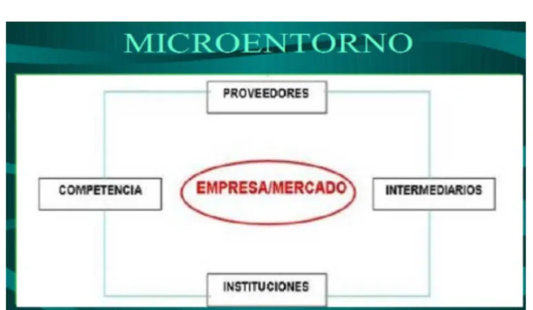 Ilustración 3 Microentorno 