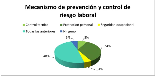 Gráfico Nº 19 Prevención y control de riesgo laboral 