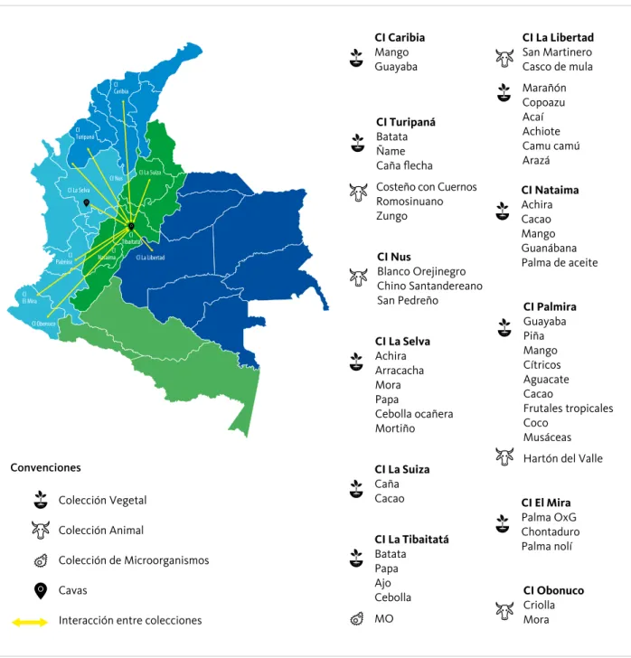 Figura 1. Distribución de los BGAA 