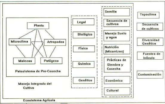 Fig, 9. Ecosistema agrícola y subsistema de manejo del cultivo y las plagas en problemas fitosanitarios de precosecha