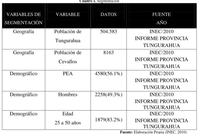 Cuadro 1. Segmentación
