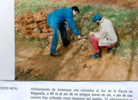 FOTO 9074: Afloramiento de Areniscas
