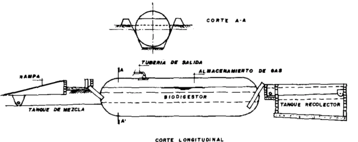 FIGURA T.  PLANTA  TIPO  8  A LO N 
