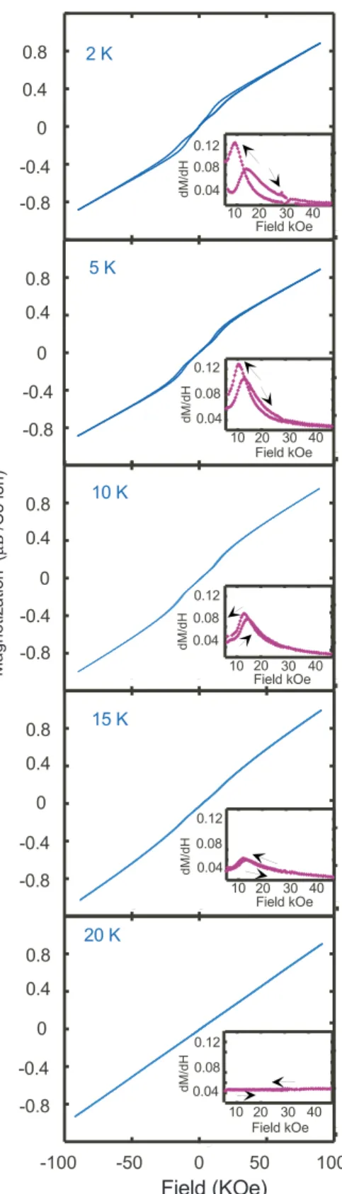 FIG. 7. 共Color online兲 Thermal evolution of the ac susceptibility of Co 2 共OH兲AsO 4 at different dc applied fields with an ac field H ac = 10 Oe and frequency of 1000 Hz