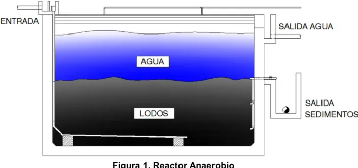 Figura 1. Reactor Anaerobio 