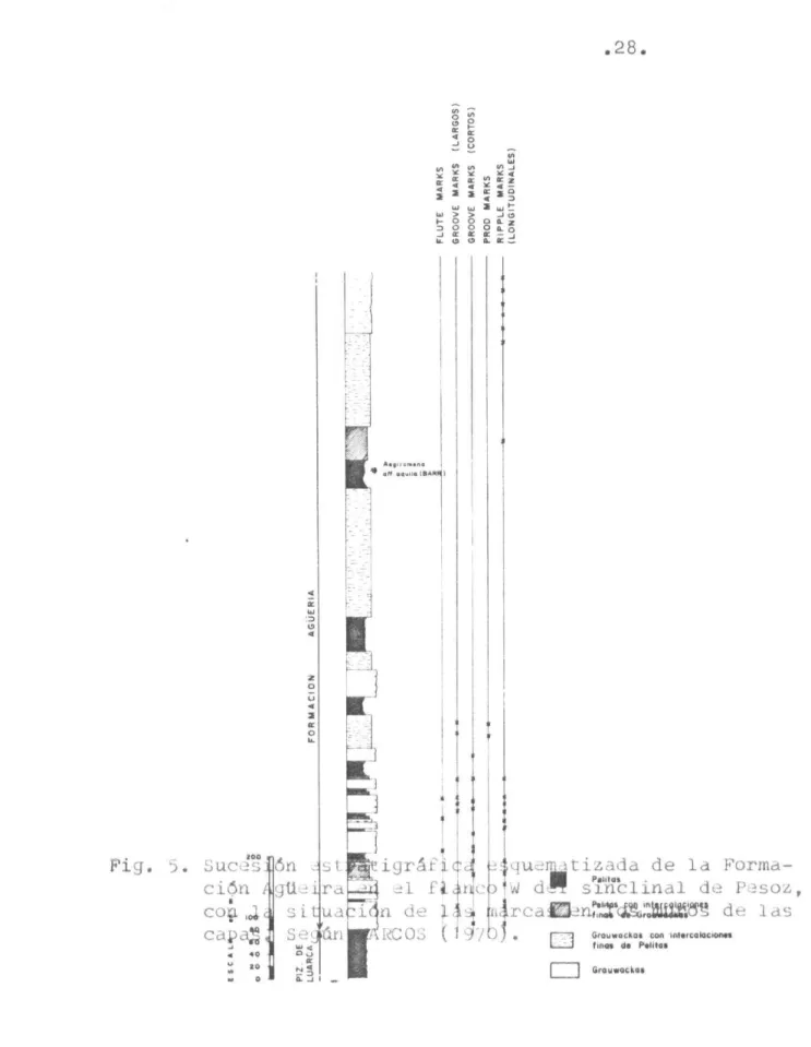 Fig. u C o ri 1 C ju ,ni (le la Forma-