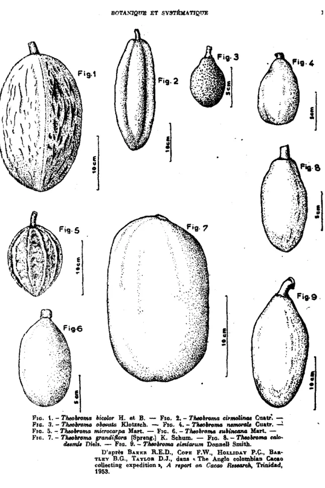 FIG.  t. - Th«>&amp;n>_  bi<»l<>r  H.  .t B.  - F.o.  2. - Th«>h ........
