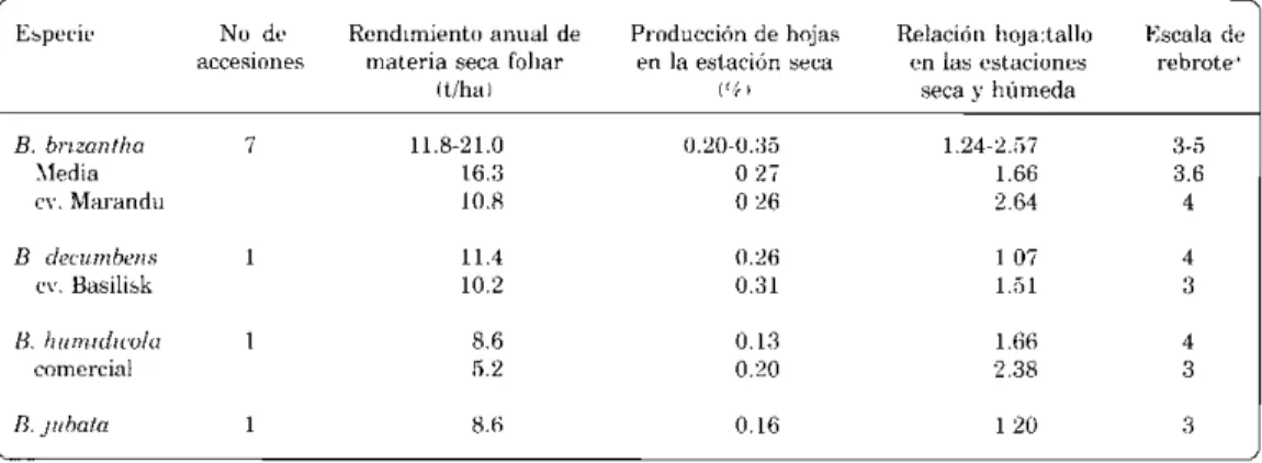 Cuadro  2.  Características  agronómIcas  de  1:1  accesIOnes  I'scogldas  entt'e  184  acceslOn(&gt;~  de  Bra('hrana  en  Campo  Grande
