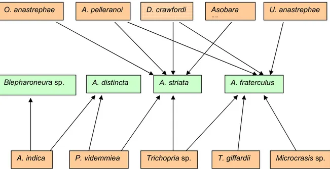 Figura  5. Parasitoides y su asociación con especies de la Familia Tephritidae en  la provincia de Vélez Santander