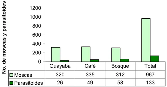 Figura  11.  Moscas  y  parasitoides  emergidos  de  los  dispositivos  de  larvas  en  Guavatá durante 7 monitoreos
