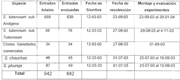 Tabla 6  Fechas de  siembra,  recolección  y  cantidad  de genotipos de la  Colección  Central 