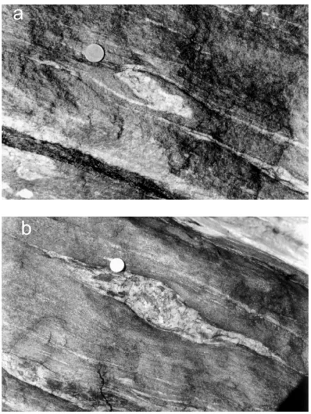 Foto 1 - a) Fenocristal de feldspato dos paragnaisses do ponto CM (CEBIMAR - USP - representado na Fig