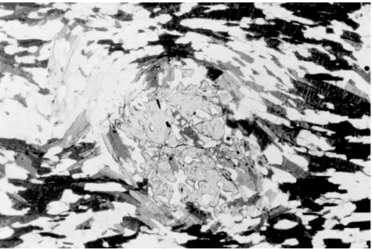 Foto 2 - Fotomicrografia dos gnaisses kinzigíticos TT02A, do costão rochoso litoral de Toque Toque