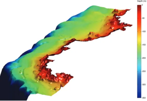 Fig. 5. 3D bathymetry of the Death Coast region.