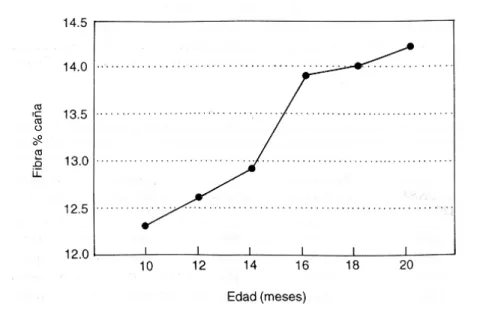 Figura 5. Promedio de variación del porcentaje de fibra con la edad al corte de seis variedades de caña de azúcar.