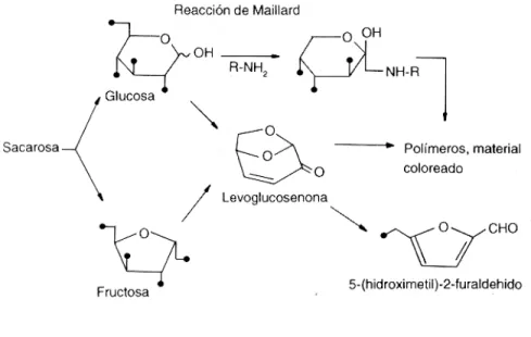 Figura 2. Posibles vías de la termolisis de la sacarosa y formación de melanoidinas durante el procesamiento de la caña de azúcar.