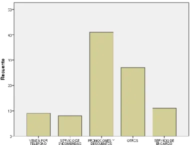 Gráfico  N° 13: Tipos de servicio para los clientes de la nueva línea. 