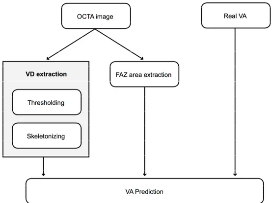 Figure 1. Outline of the main steps of the proposed methodology. OCTA: optical coherence  tomography angiography, FAZ: foveal avascular zone, VD: vascular density, VA: visual acuity