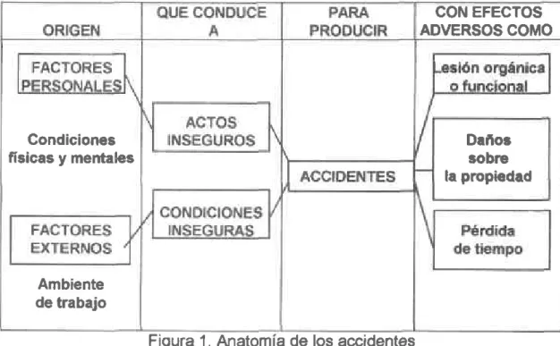 Figura  1. Anatomía  de los accidentes