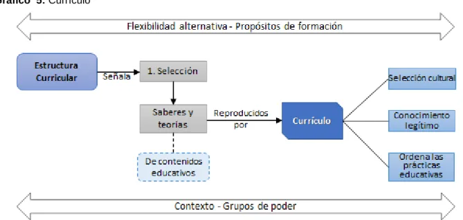 Gráfico  5: Currículo 