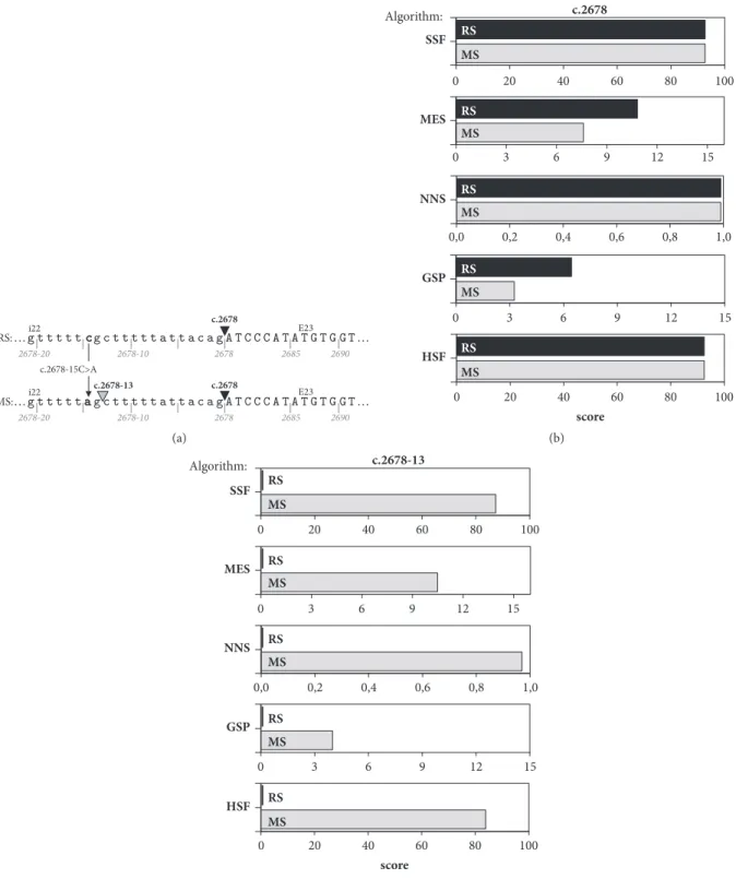 Figure 1: Schematic representation of in silico analysis of the c.2678-15C>A variant identified in intron 22 of the FBN1 gene by various computational tools