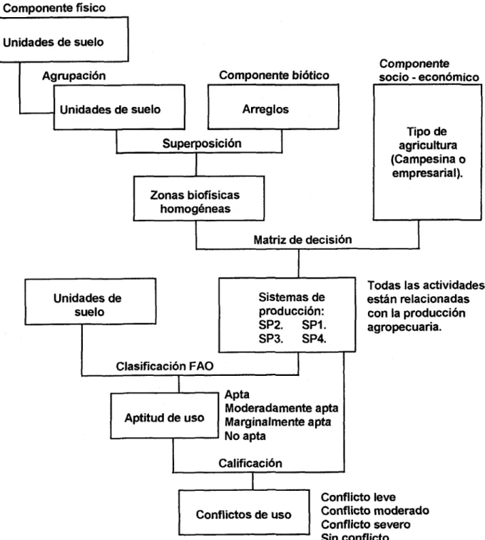 Gráfico l.  Segundo  Nivel de Observación 