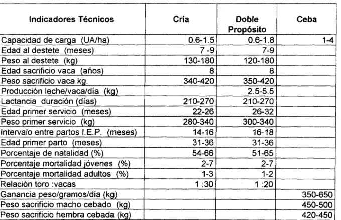 Tabla  7.  Algunos  indicadores técnicos  para  los sistemas de producción  de  la  micro-  región Sur del Magdalena Medio,  1998