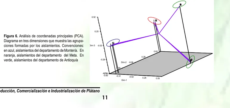 Figura 6. Análisis de coordenadas principales (PCA).