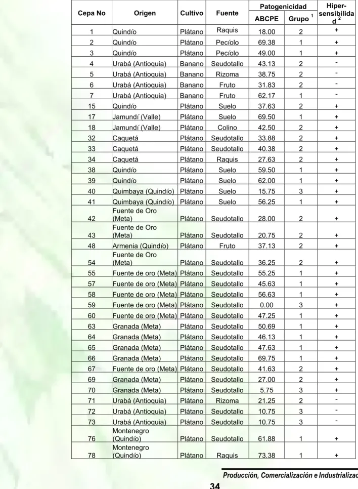 Tabla 1. Procedencia y patogenicidad de 72 cepas de Ralstonia solanacearum raza2,  aisladas de cultivos de plátano, banano y heliconia 