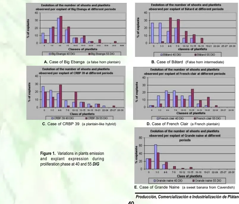 Figure 1.  Variations in plants emission and explant expression during proliferation phase at 40 and 55 DIG