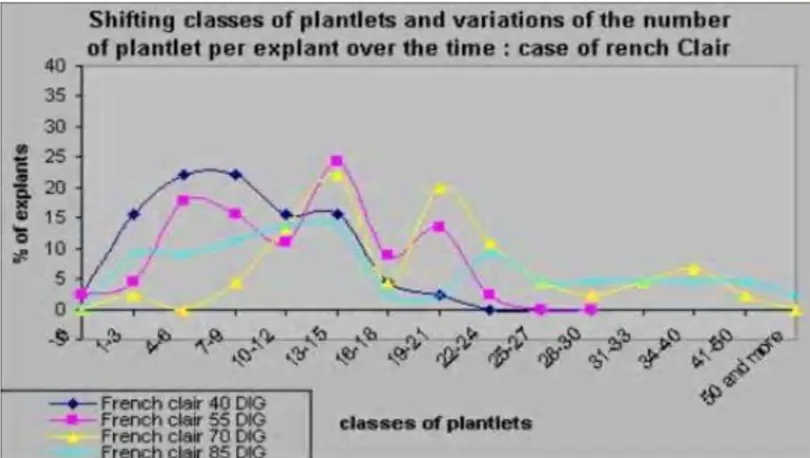 Figure 2.  Shifting classes of plantlets and variations of the number of plant- plant-let per explant over the time: case of rench Clair