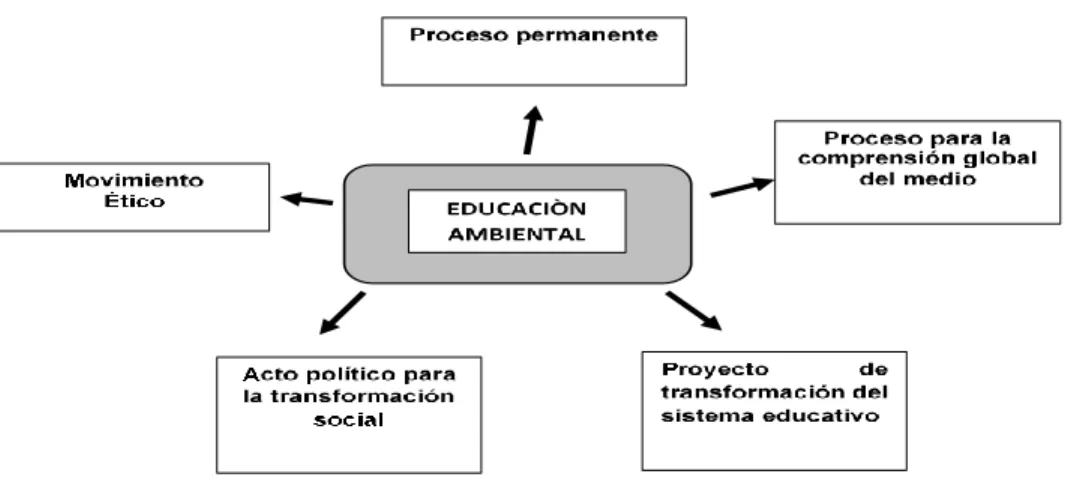 Figura 1 Definiciones de E.A 