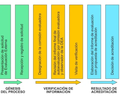 Figura 3. Proceso de evaluación externa 