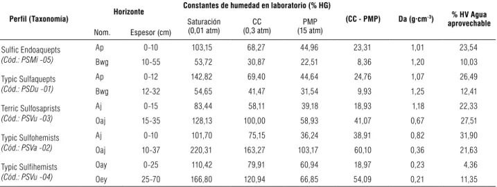 TABLA 6.  Constantes de humedad determinadas en condiciones de laboratorio para SSA. Distrito de Riego del Alto Chicamocha.