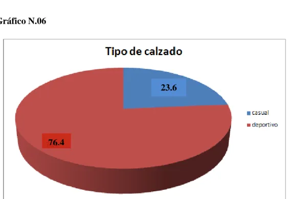 Gráfico N.06 