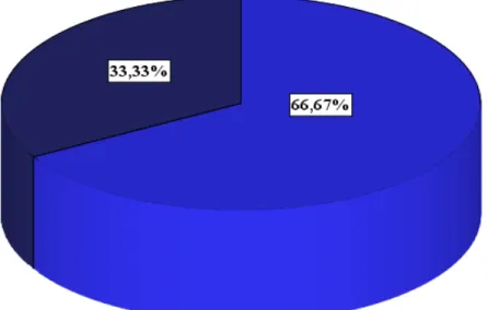 GRÁFICO 9 