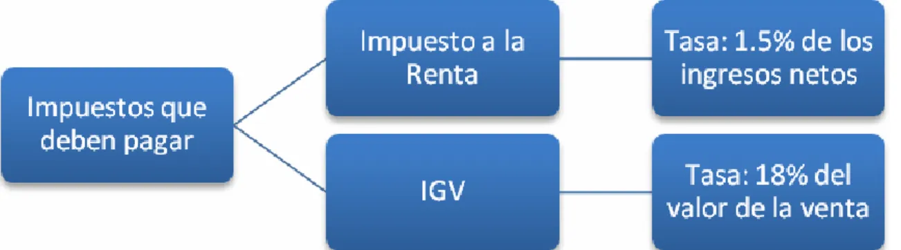 Tabla 4 : Empresas que no acceden al RER    