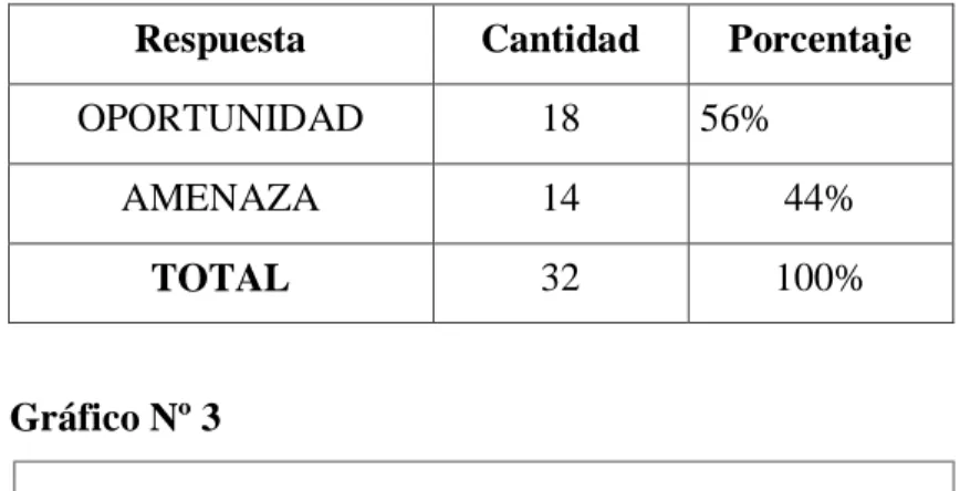 Gráfico Nº 3 