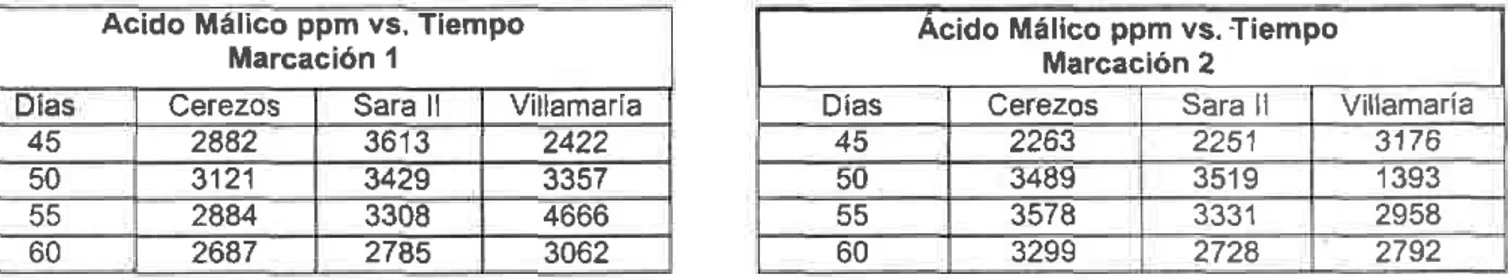 Tabla 8. Comportamiento  del ácido málico  a través  del tiempo (época) y entre materiales