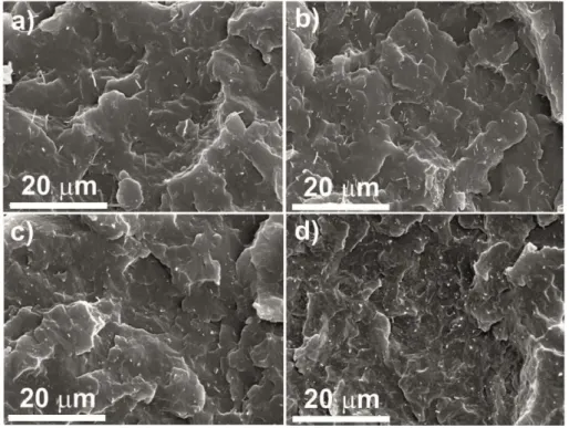 Figure 2. 2  - SEM micrographs of 0.9 vol % PP / CNFs composites: a PP / PR 19 LHT XT 