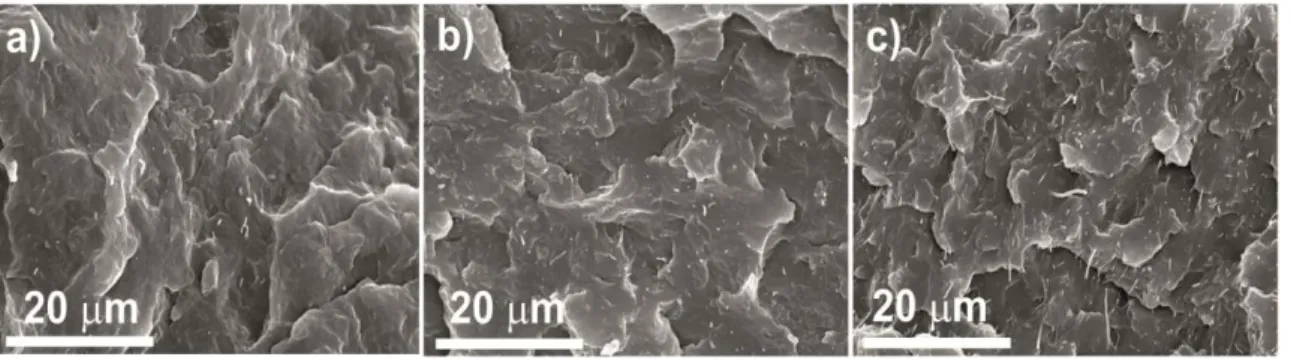 Figure 2. 3 -. SEM micrographs of PP / PR 19 LHT XT composites: a 0.2 vol %, b 0.9 vol % 
