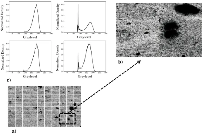 Figure  2.  4  -  PP  /  24  PR  LHT  XT  CNFs  composites  at  0.5  vol  %:    a  Composition  of  100 
