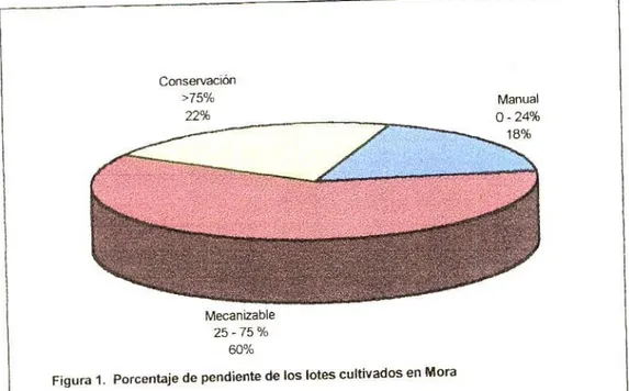 Figura 1. Porcentaje de pendiente de los lotes cultivados en Mora